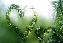 民政部:要解决制约养老服务高质量发展的深层次矛盾问题.