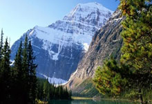 弗里克：阿劳霍感觉很好队医同意他出战；拉菲尼亚周日会登场.