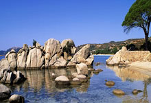 中共中央 国务院致第17届残奥会中国体育代表团的贺电.